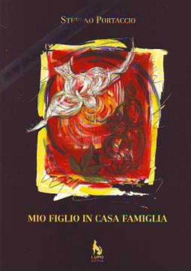 Immagine di Mio figlio in casa famiglia